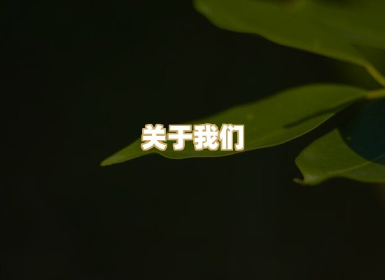 关于我们